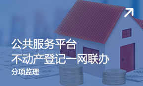 公共服務平台 不動産登記一網聯辦 分(fēn)項監理(lǐ)